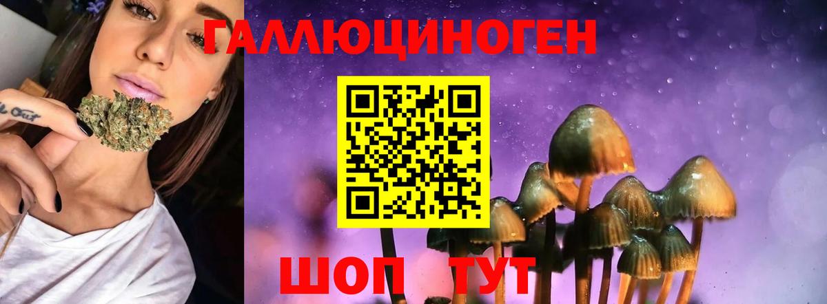 Галлюциногенные грибы мицелий  Галлюциногенные грибы мухоморы  Вход с VPN  Среднеуральск 